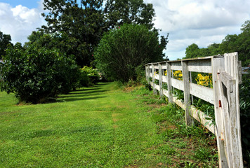 White Wooden Fence