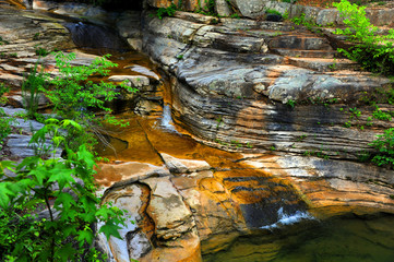 Arkansas Stream Bed