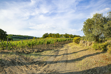 Naklejka premium autumn landscape 