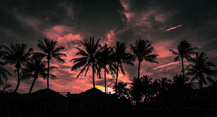 Obraz premium Sunset in the south.
