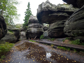 Błędne skały w Górach Stołowych- Polska © JDziedzic