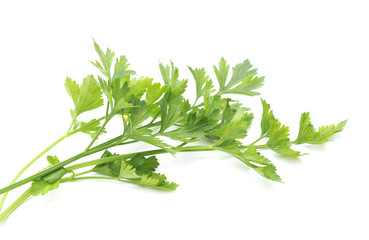 Bunch of parsley.