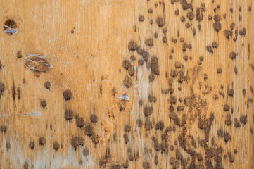 wooden texture, wood plank.