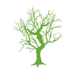 Obraz premium дерево