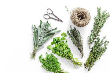 fresh herbs and greenery for spices and cooking on white desk background top view