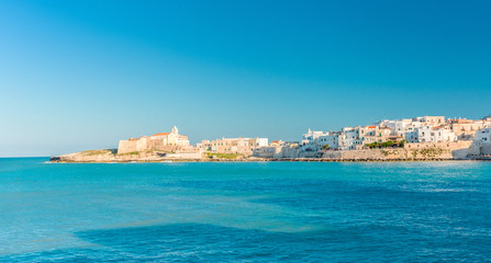 Vieste view, Apulia,south Italy
