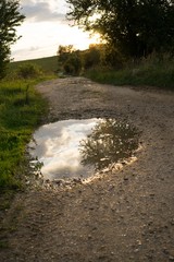 Sunset behind the tree with puddle. Slovakia