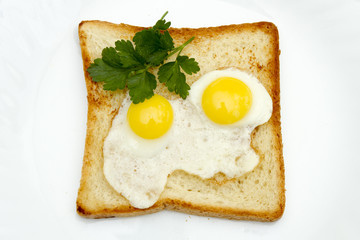 Close-up of bruschetta with fried quail eggs, selective focus, studio shot