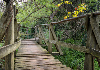 Obraz premium National Park Ropotamo Bulgaria. Wooden bridge leads to the Ropotamo river crossing green spring forest