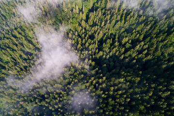 Aerial view of Carpathian mountains. Ukraine, Europe. Concept ecology protection. Top view