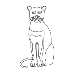 Panther, predatory animal. Pantera, wild cat single icon in outline style vector symbol stock illustration web. © pandavector