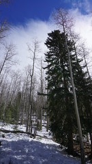 Santa Fe National Forest