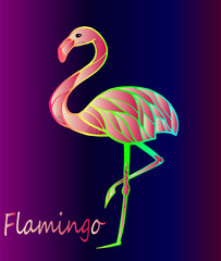 Bright pink flamingo on a purple gradient background. Exotic, rare bird. Beautiful close-up sketch