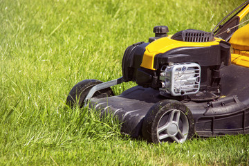 Fototapeta premium Sezon letni i wiosenny słoneczny koszenie trawnika w ogrodzie.