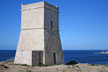 The tower