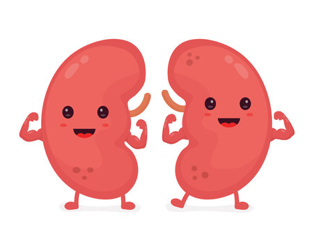 Kidney Cartoon Images – Browse 7,720 Stock Photos, Vectors, and Video | Adobe Stock Kidney Cartoon Images – Browse 7,720 Stock Photos, Vectors, and Video | Adobe Stock