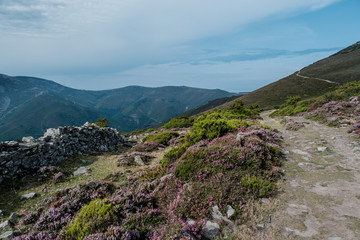 The oldest Camino de Santiago in Spain the 