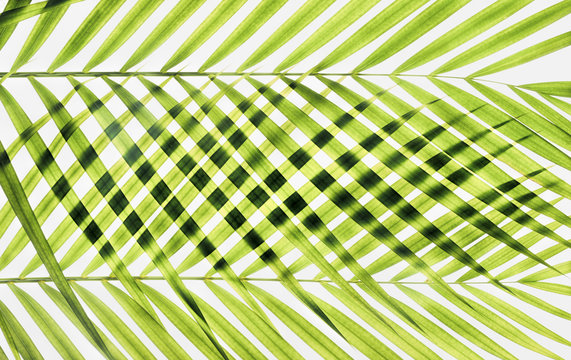 Woven palm leaf