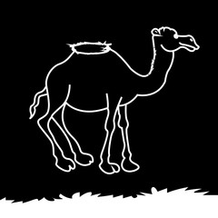 camel icon. desert animal. Coloring book