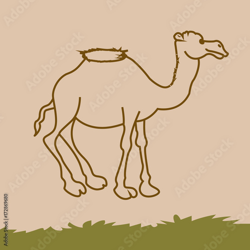  camel icon. desert animal. Coloring book Stock image and 