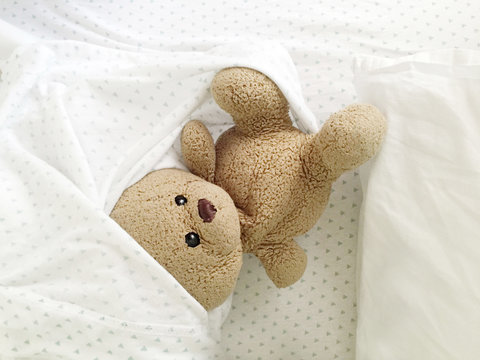 Teddy Bear in a messy bed