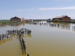lavoriero di Stazione Serilla nelle Valli di Comacchio