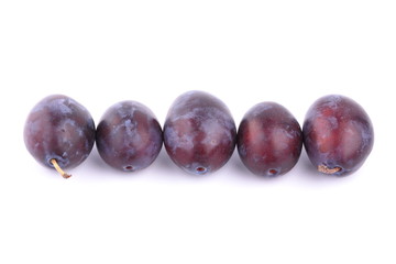 Big ripe plums on a white background for design packing