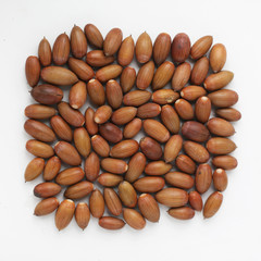 a lot of acorns oak isolated on a white background, top view