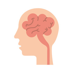 human head and brain icon mind concept vector illustration