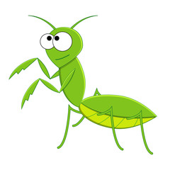 Cute cartoon vector mantis isolated on white background. Cartoon insects.