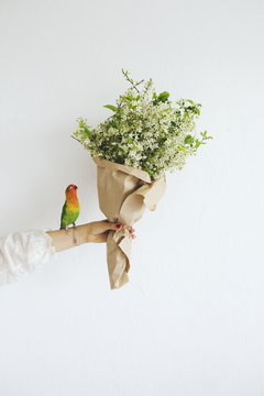 Young woman holding cherry blossom bouquet, parrot standing on her hand
