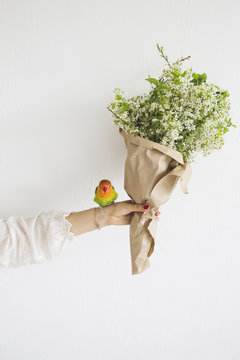 Young woman holding cherry blossom bouquet, parrot standing on her hand