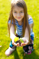 small green plant in girl hand