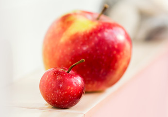 A small paradise apple on a background of a large apple. Mom with a child. Big and small, compare