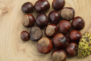 Group of chestnuts in a wooden background