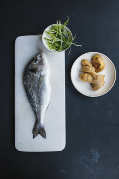 Fresh Fish