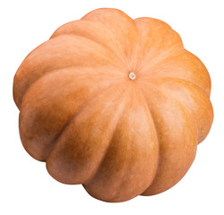 Pumpkin isolated on white, thanksgiving day