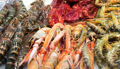 fresh seafood mix on the fish market