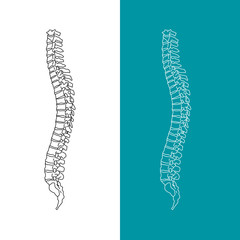 Vector illustration white spine diagnostic symbol, design, sign. Diagnostic center. Flat and solid color style design