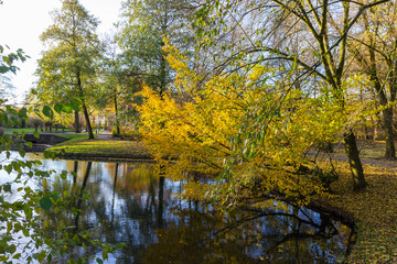 canals of Amstelveen, autumn time