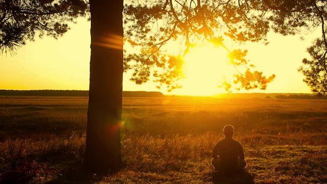 Human sitting under tree. Man repose on grass in nature. Outdoors - outside. Young man meditating in half lotus - beautiful sunset as a background.