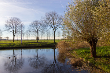 Obraz premium canals of Amstelveen, autumn time
