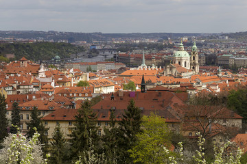 Fototapeta premium View on the spring Prague City with the green Nature and flowering Trees, Czech Republic