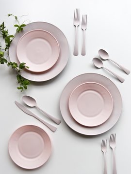 Pink plate and green leaf