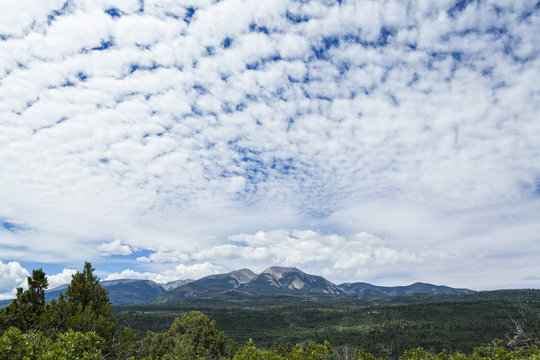 Puffy white clouds over a Utah forest valley