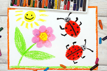 Photo of colorful drawing: flower, sun and ladybugs on white paper background