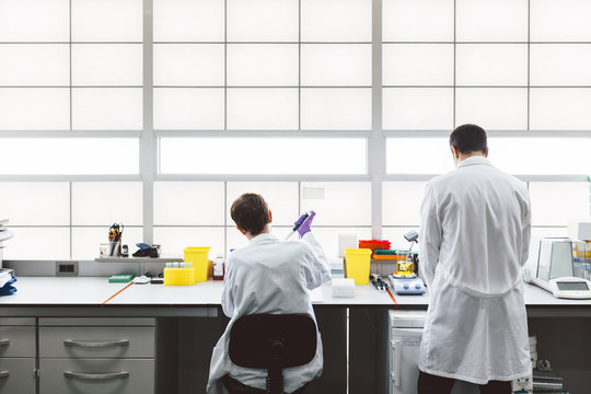 Biologists Working in a Professional Laboratory