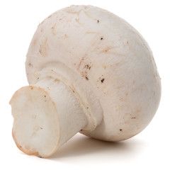 Champignon isolated on white background cutout