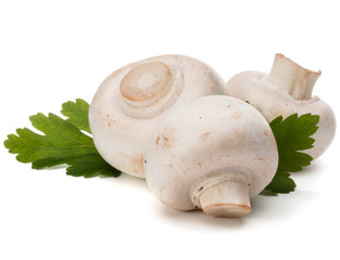 Champignon and parsley herb still life isolated on white background cutout