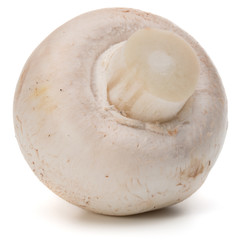 Champignon isolated on white background cutout